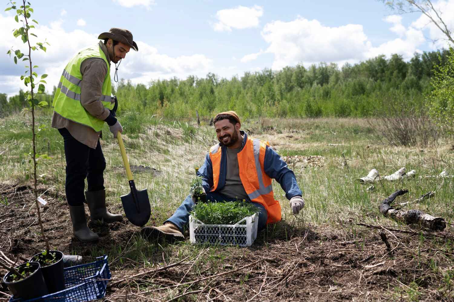 Best Affordable Tree Cutting  in Quincy, MI